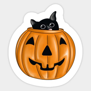 Halloween cats Sticker